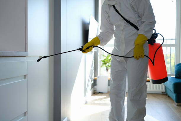 Mold Testing and Removal in La Caada Flintridge, CA