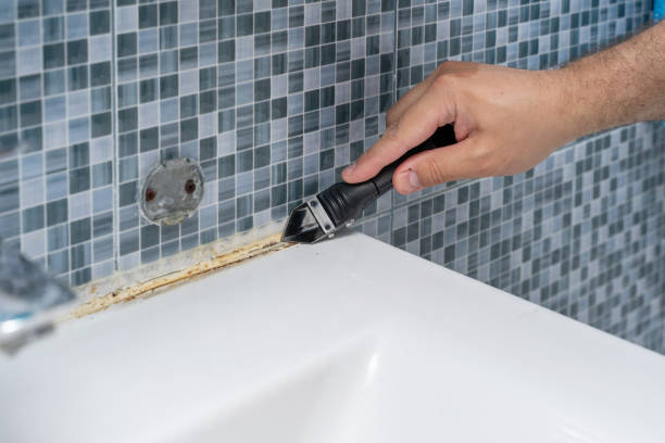 Best Best Mold Removal Companies  in La Ada Flintridge, CA