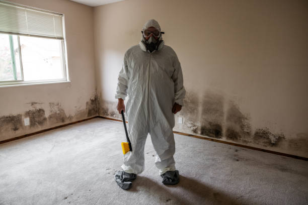 Best Emergency Mold Removal  in La Ada Flintridge, CA